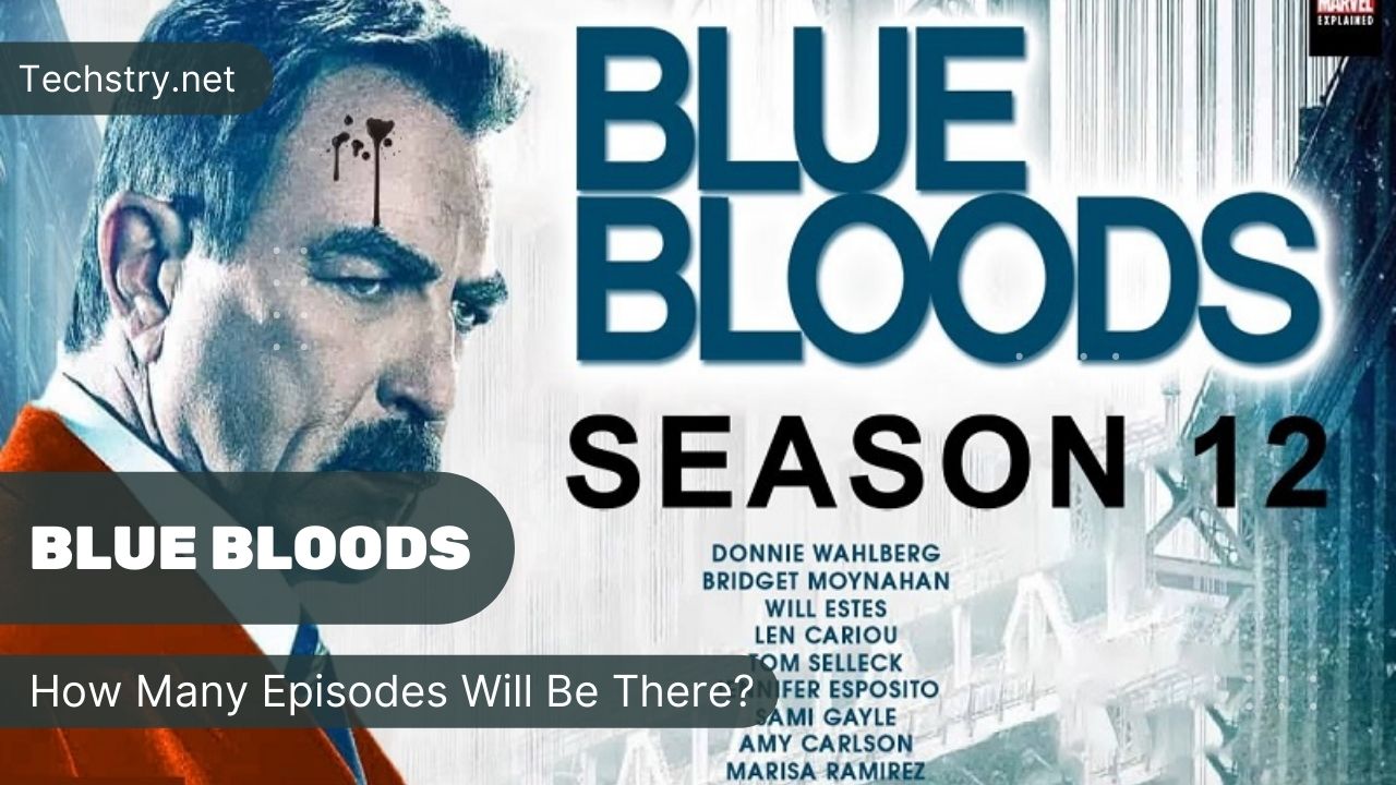 bluebloods season 12 how many episdes will be there