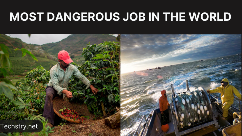 most dangerous job in the world