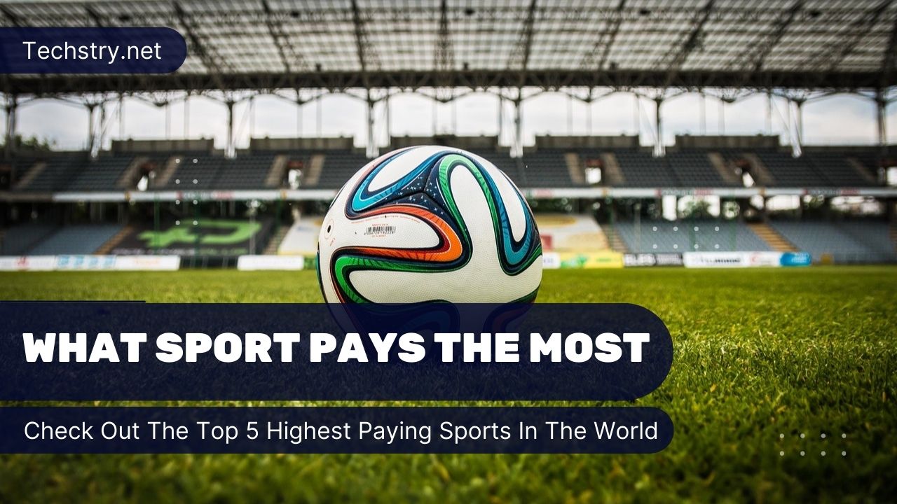 What Sport Pays The Most Check Out The Top 5 Highest Paying Sports In The World