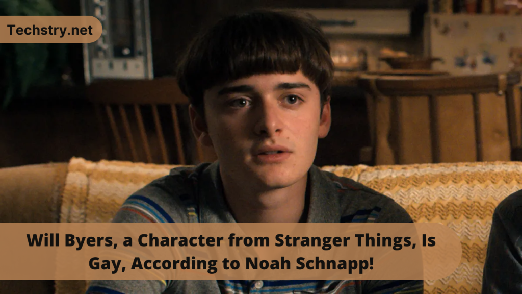 Will Byers, a Character from Stranger Things, Is Gay, According to Noah Schnapp!