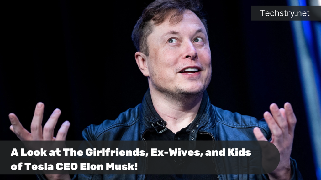 Elon Musk: a look at the Tesla CEO's girlfriends, ex-wives and children