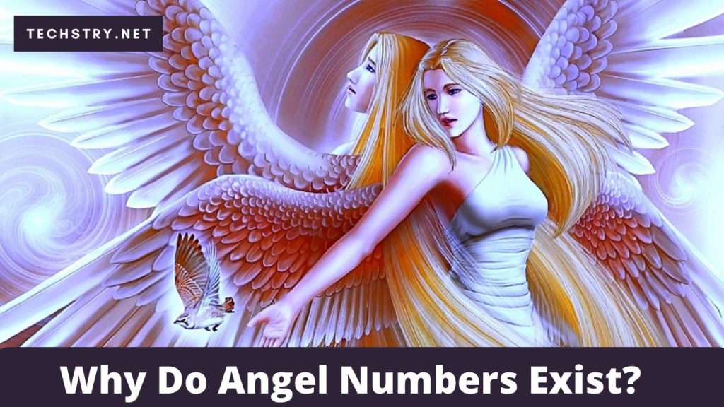 Why Do Angel Numbers Exist?