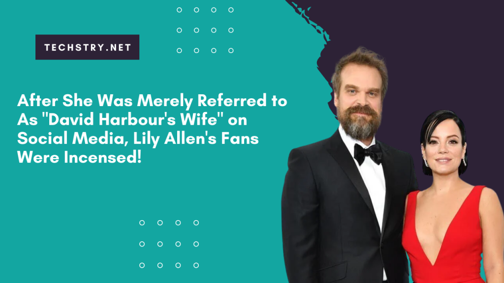 After She Was Merely Referred to As "David Harbour's Wife" on Social Media, Lily Allen's Fans Were Incensed!