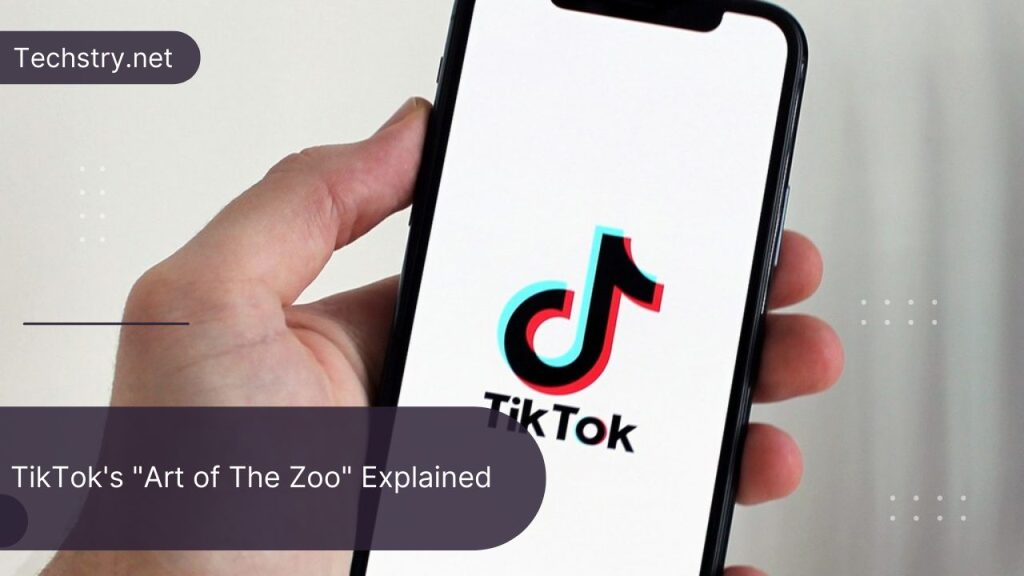 TikTok's "Art of The Zoo" Explained