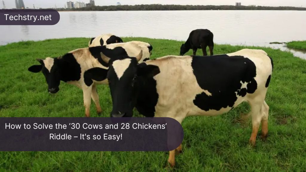 How to Solve the ‘30 Cows and 28 Chickens’ Riddle – It's so Easy!