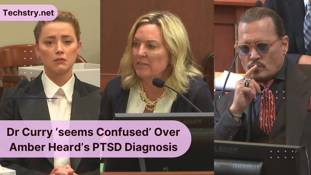 Dr. Dawn Hughes behauptet, Dr. Curry sei „verwirrt“ über Amber Heards PTBS-Diagnose