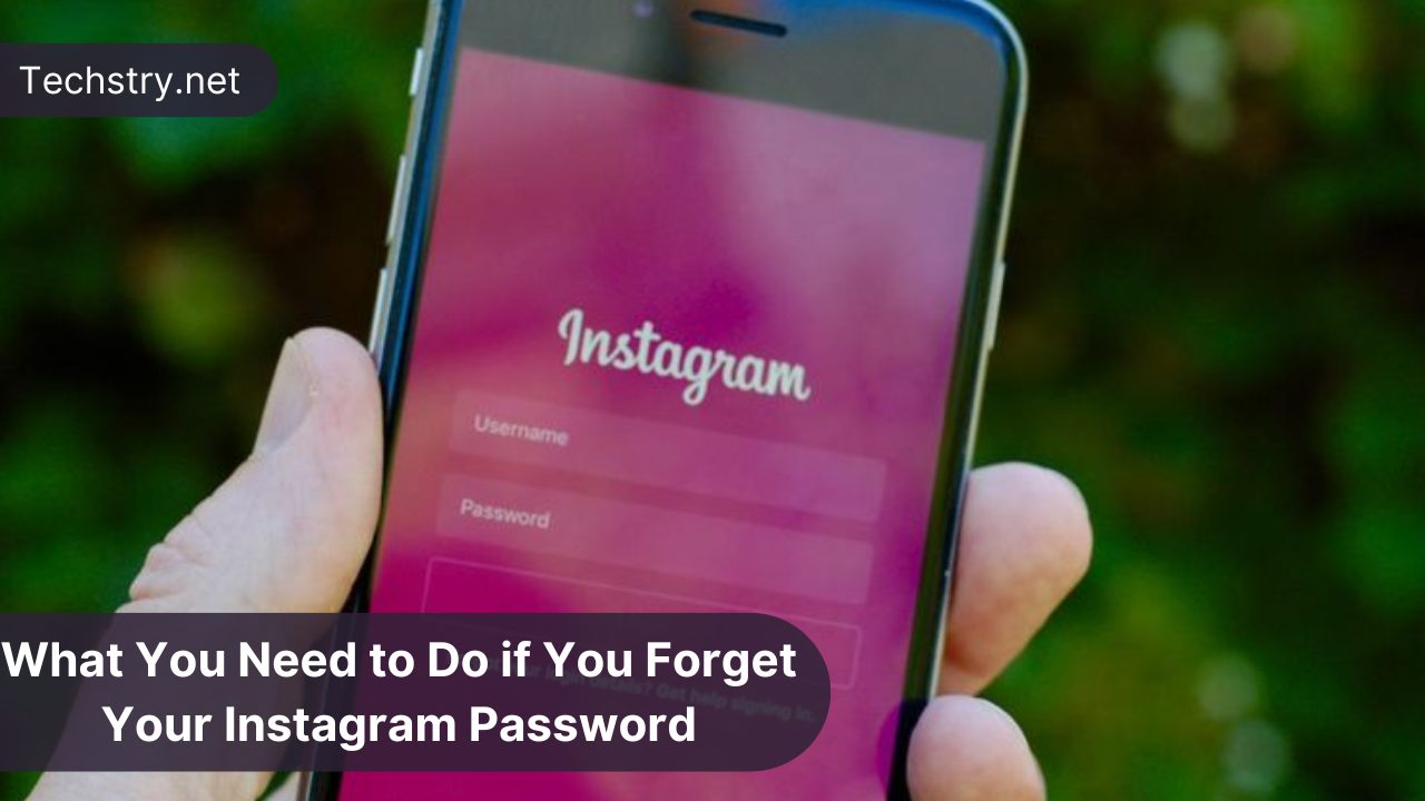What You Need to Do if You Forget Your Instagram Password?