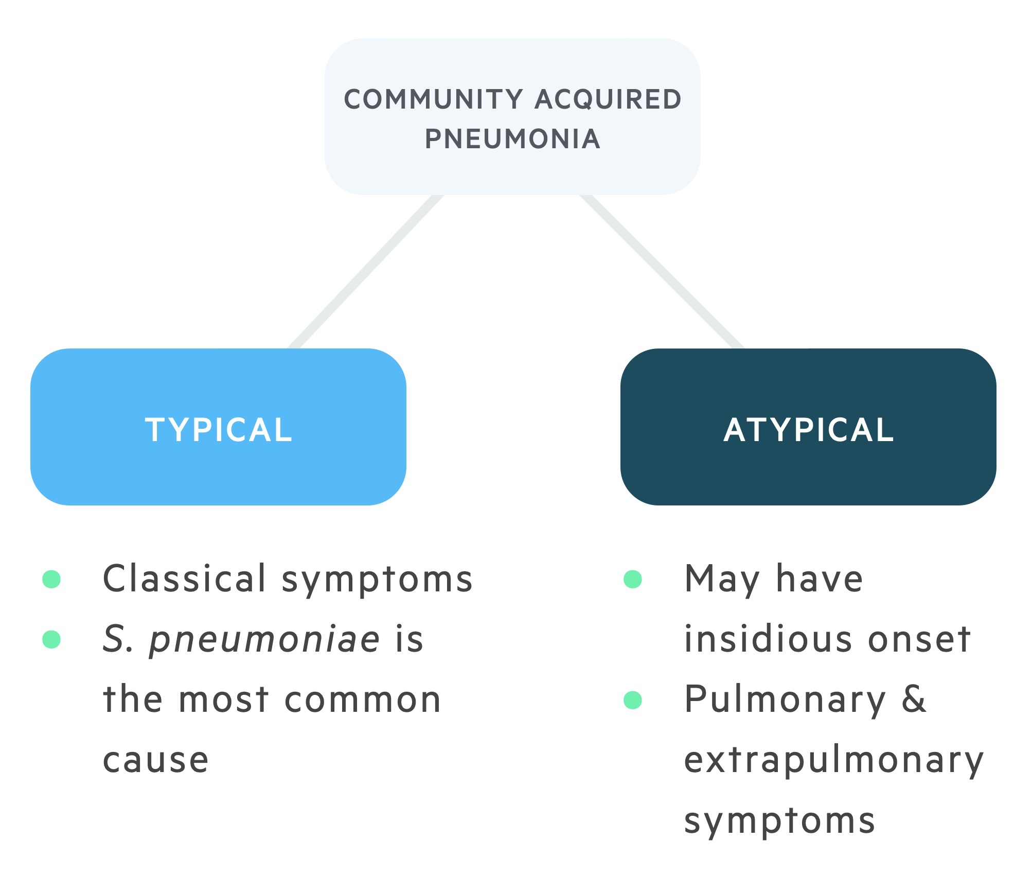 Pneumonia Caused by The Following Is Classified as "Atypical."
